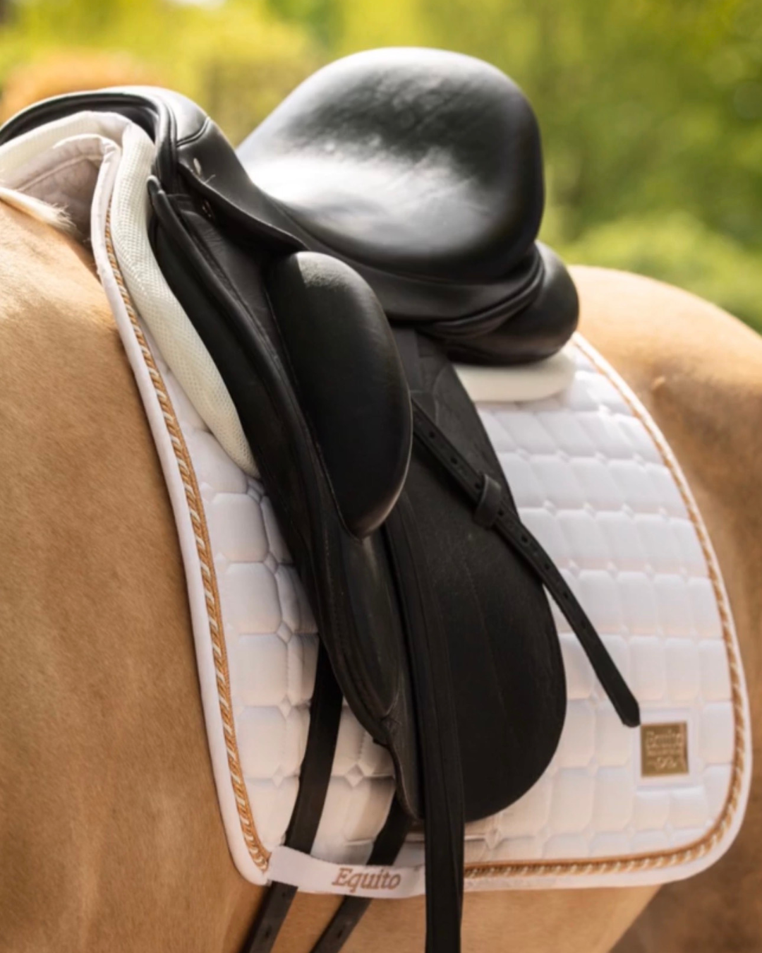 Summer Riding Is Hot Enough. Your Saddle Pad Shouldn't Make It Hotter.