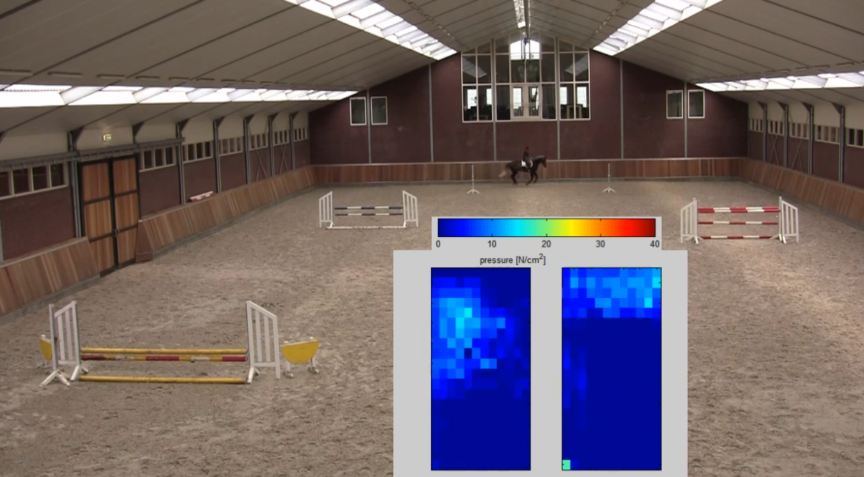 The First Ever Pressure Testing Under Saddle: Advancing Equine Comfort and Performance