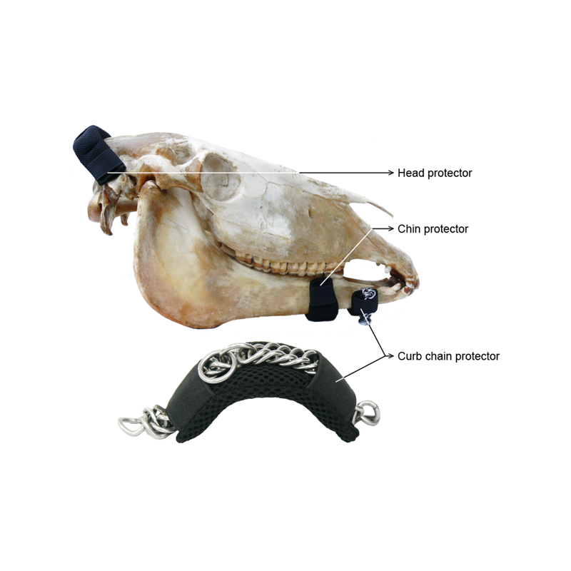 Chin/Head Protectors