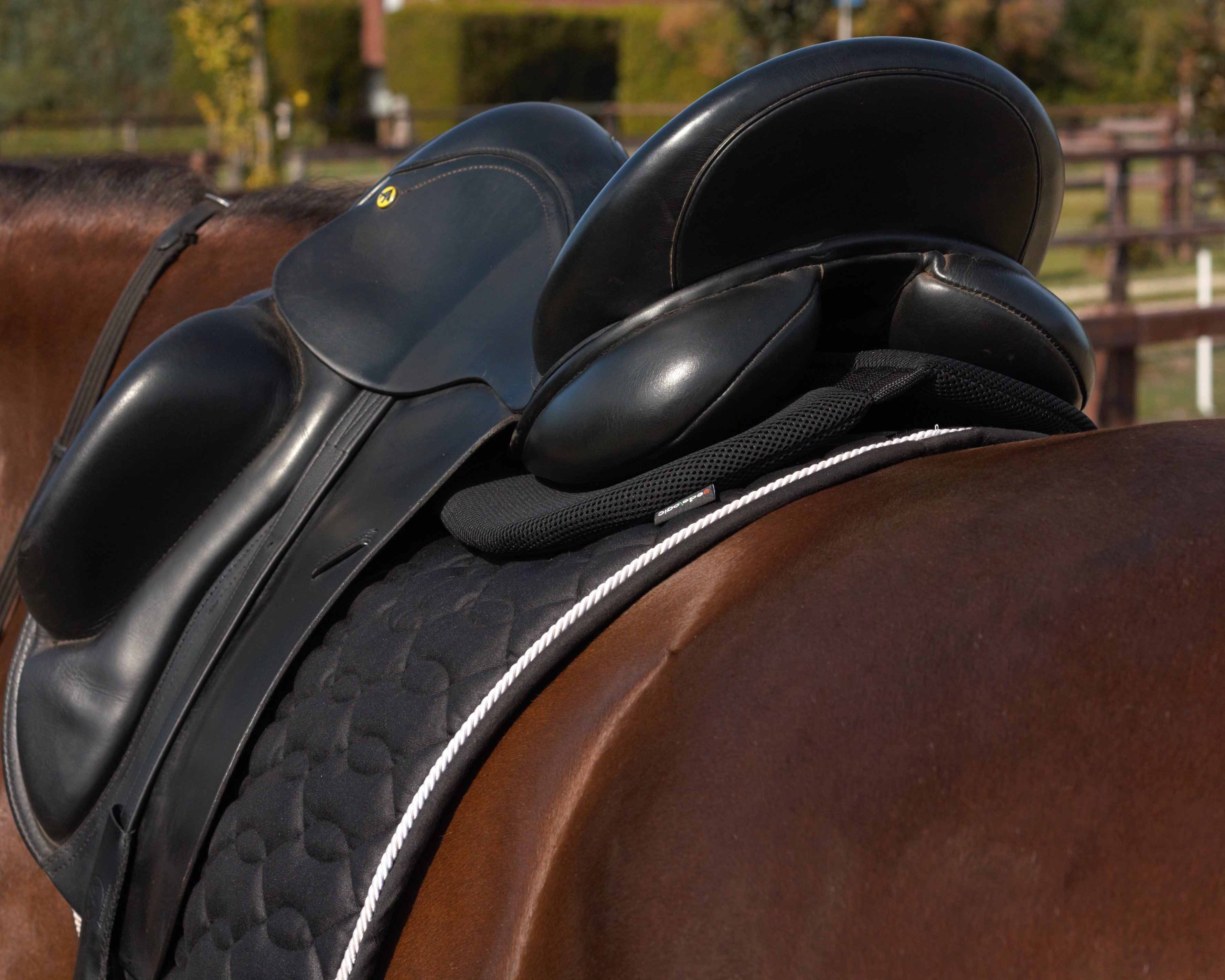 2-Ply All Purpose Saddle Pad