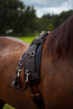 Therapeutic Lunging Pad