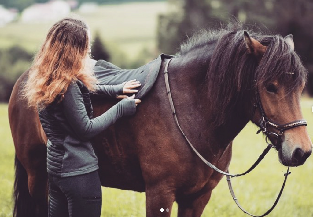 Icelandic Saddle Pad