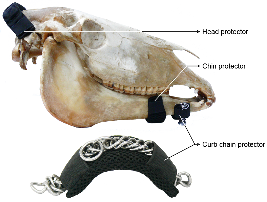 Horse Head Protector